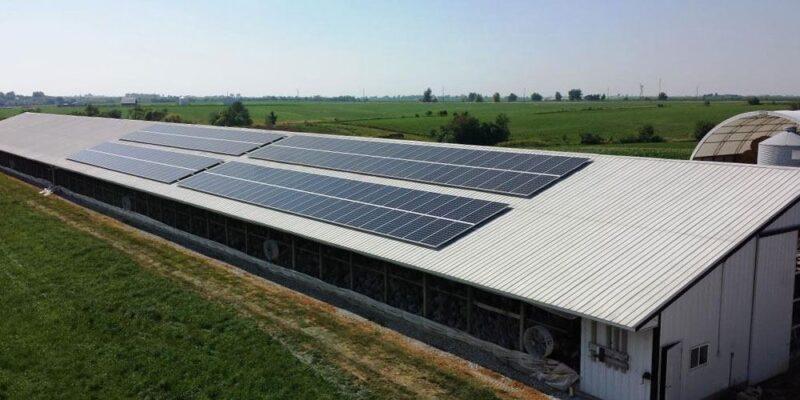 điện mặt trời nông nghiệp mái nhà trang trại