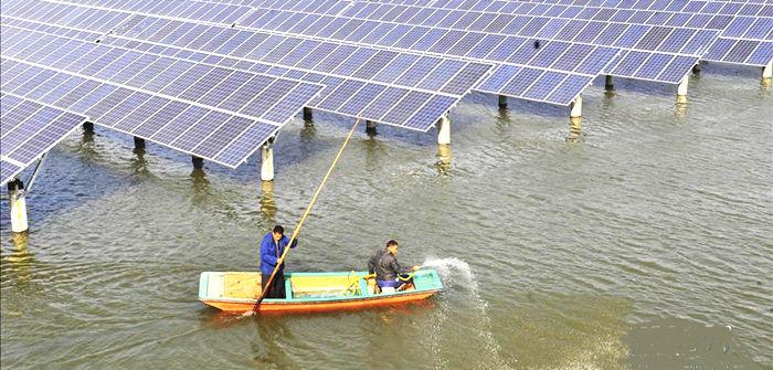 Điện mặt trời tại Dương Kinh trong cho đầm tôm