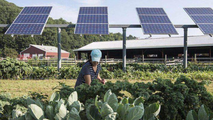 điện mặt trời nông nghiệp trang trại